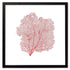 black framed red sea fan wall art